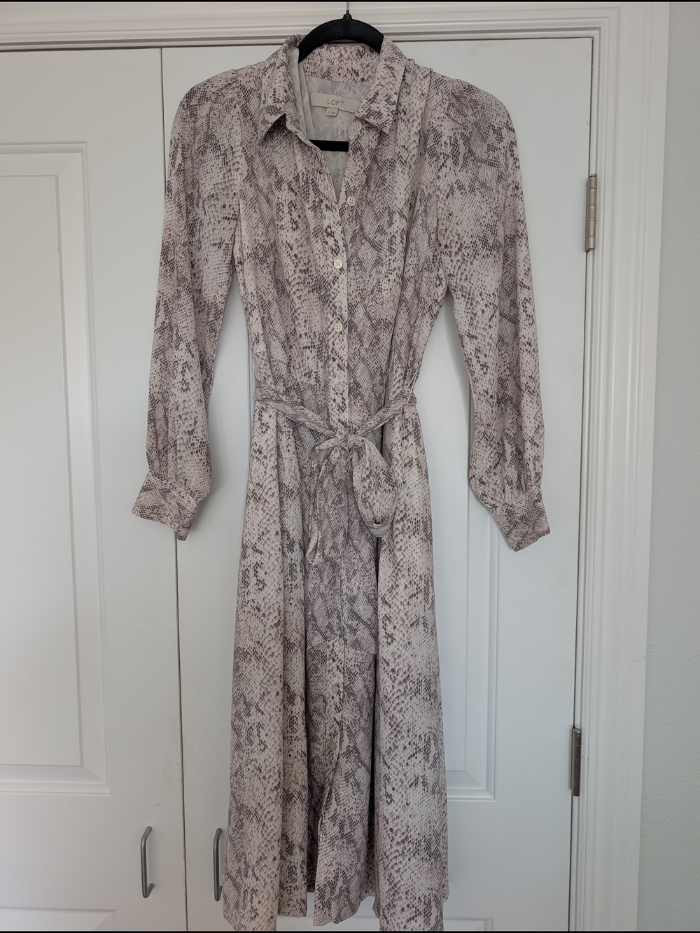 Snake Print Work Midi Dress